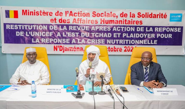 Réponse humanitaire à l&rsquo;Est du Tchad : Un bilan à mi-parcours et un plaidoyer pour la crise nutritionnelle