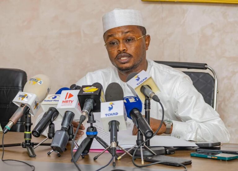 COP29 : Le Tchad s&rsquo;engage dans la lutte contre les changements climatiques