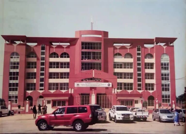 Scandale Douanier au Tchad : Soutien au Directeur Général Face aux Accusations