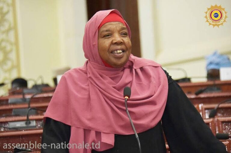 Tchad : La Commission des Affaires étrangères réaffirme la souveraineté nationale face aux critiques françaises