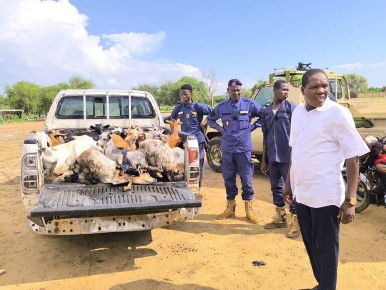 Mairie du 1er arrondissement de N’Djaména , un abus de pouvoir déguisé en acte humanitaire