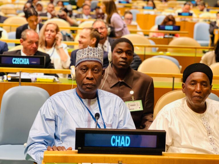 Forum politique de haut niveau 2025 : Dr Ahmat Mbodou Mahamat plaide pour un soutien financier en faveur du Tchad