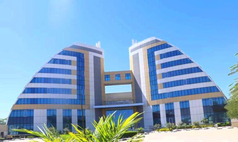 Tchad : Une diplomatie sous contrainte qui cherche un second souffle