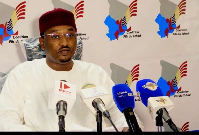 Société : La Coalition « Fils du Tchad » défend la révision de la Constitution