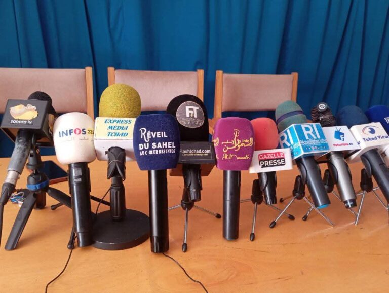 Médias : Certains médias électroniques dénoncent leur exclusion du PND « Tchad Connexion 2030 »