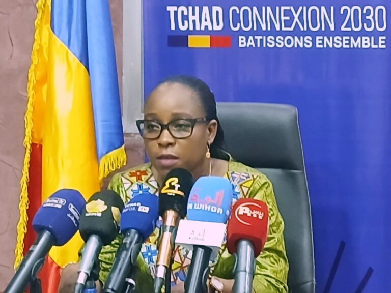 Tchad 🇹🇩 : L’AAZES veut attirer les investisseurs pour développer l’industrie