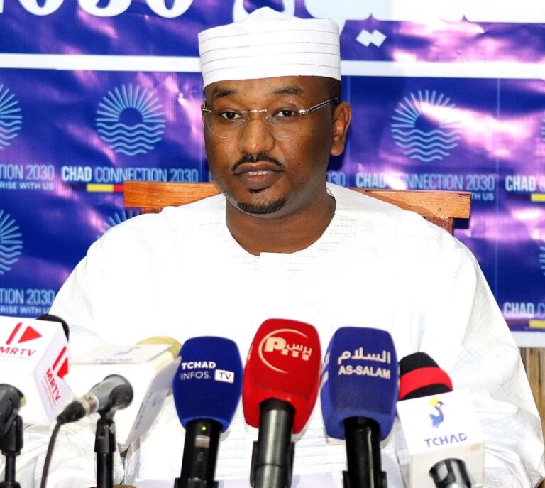 «تشاد كونكشن 2030»: المجتمع المدني في خدمة التنمية الوطنية