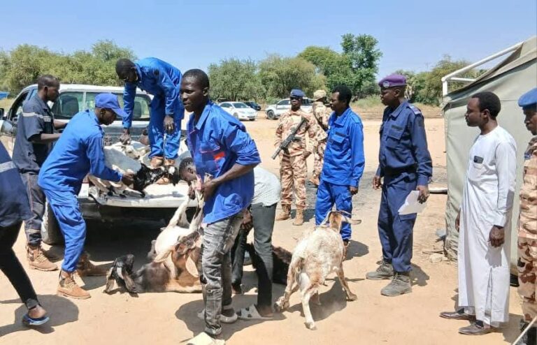 🟥 Saisir des animaux n’est pas gouverner !