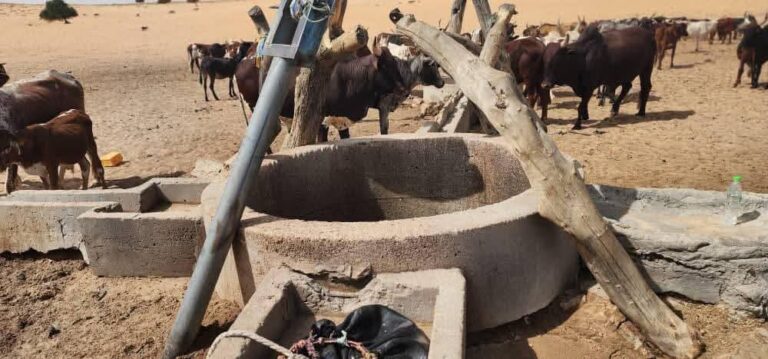 Kanem : affrontement communautaire à Goskoro, 26 blessés enregistrés