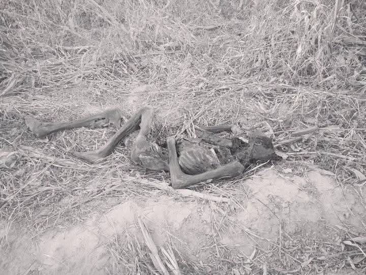 Gagal : Un corps retrouvé à l’état de décomposition avancée