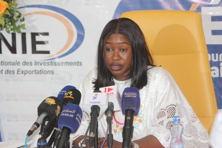 Économie:L’ANIE présente sa contribution au PND « Tchad Connexion 2030 » lors d’un Café-éco à N’Djaména
