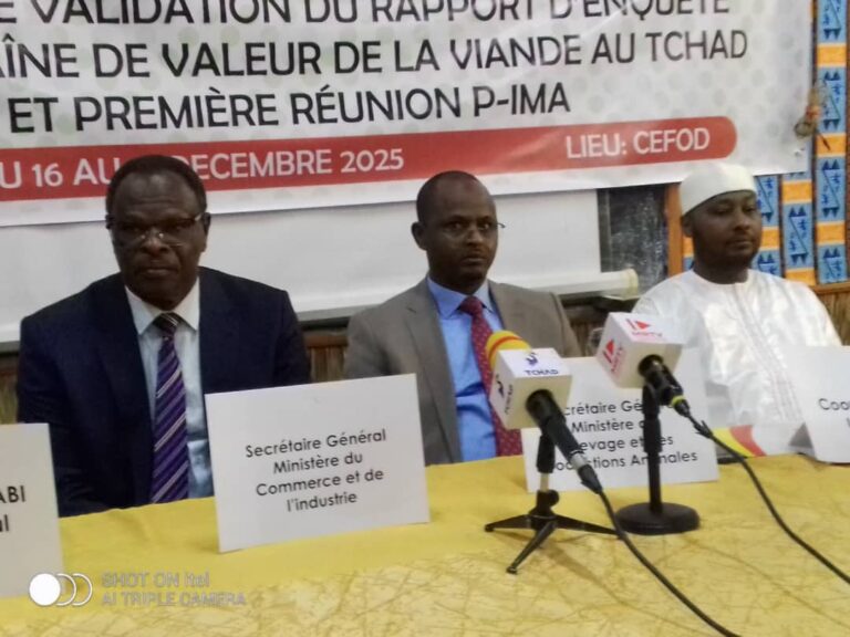 Tchad : Le STDF et le ministère du Commerce et de l’Industrie lancent l’atelier de validation du rapport sur la chaîne de valeur de la viande