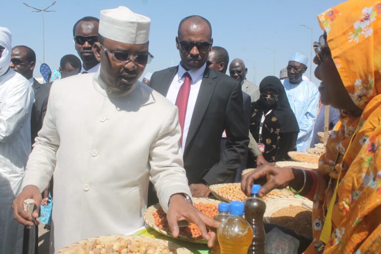 🇹🇩  Culture : Lancement officiel de la 7ᵉ édition du Festival DARY à N’Djaména