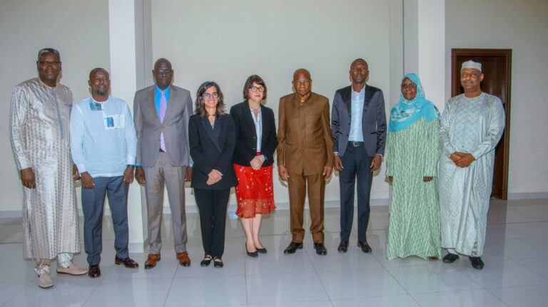 الخاصة للأمم المتحدة في مهمة في تشاد