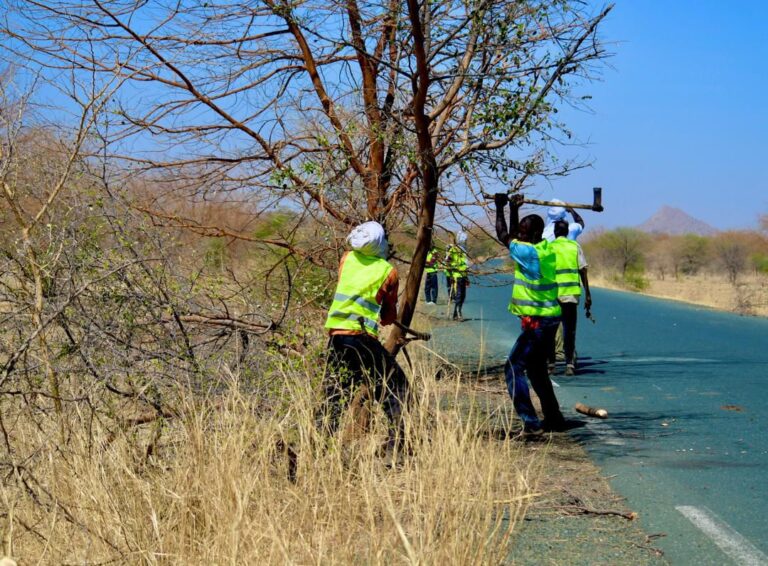 بتكين: الوكالة الوطنية للسلامة الطرقية تواصل عمليات إزالة الأشجار على الممر الوطني