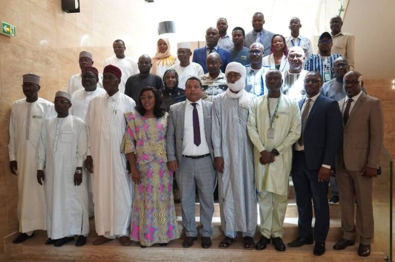 Coopération : Le Tchad et l’ONU préparent leur cadre de développement 2027-2030