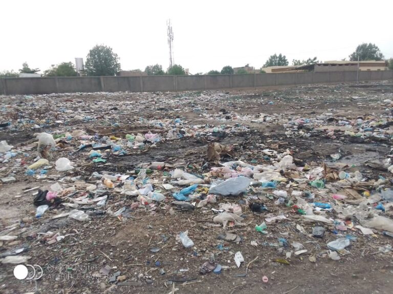 Société : Les bassins de rétention d’eau de N’Djamena transformés en dépotoirs à ciel ouvert