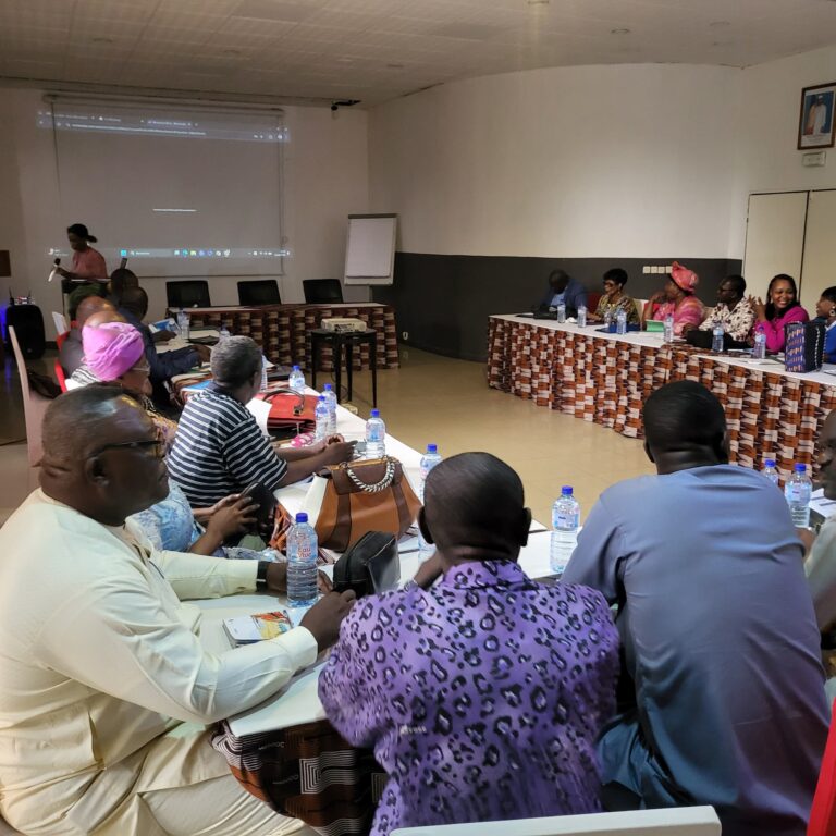 N&rsquo;Djamena : clôture d’un atelier de renforcement des capacités de la société civile sur les violences basées sur le genre