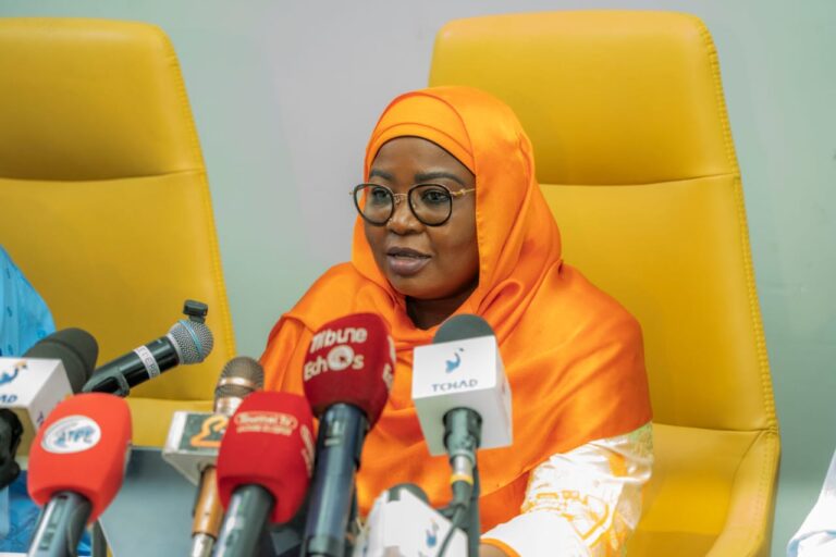 #Tchad : Dernière étape de la validation technique du Rapport biennal du Gouvernement