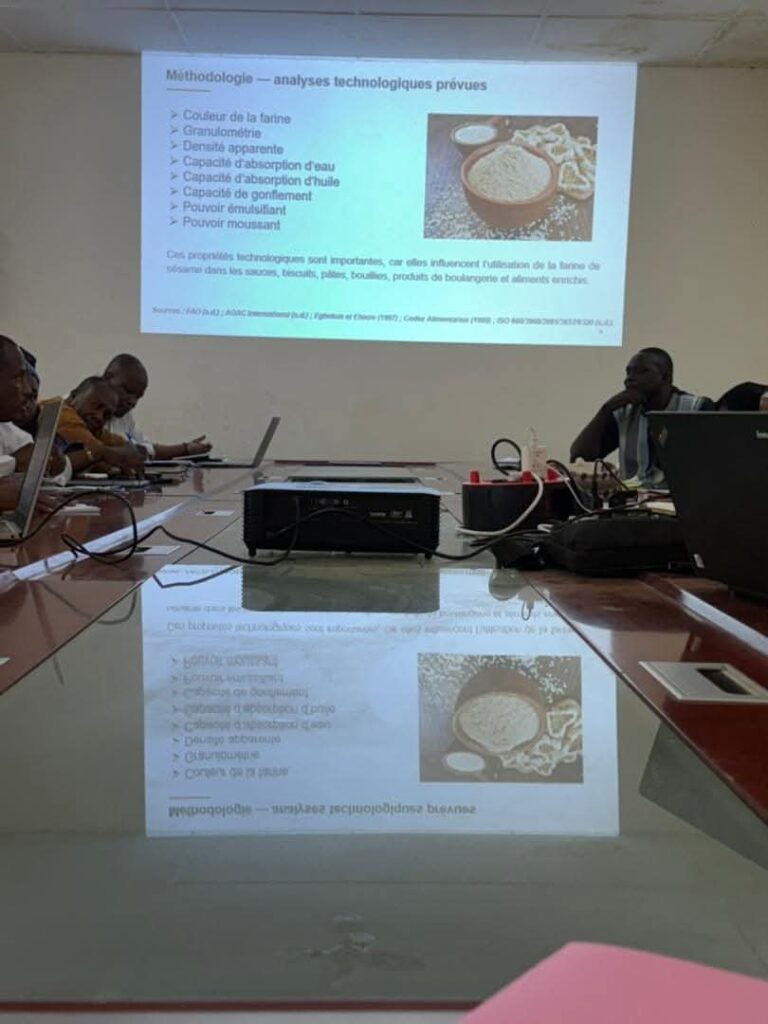 Tchad :L&rsquo;ITRAD mise sur la recherche pour renforcer l&rsquo;innovation agricole