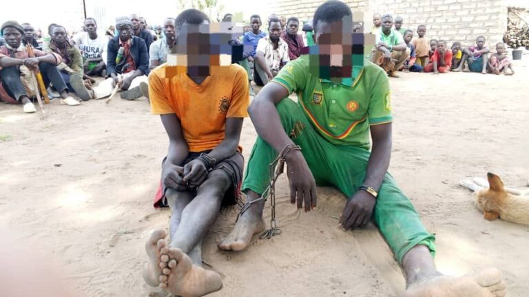 Mayo-Kebbi Ouest : Les deux adolescents enlevés à Lamé retrouvés sains et saufs