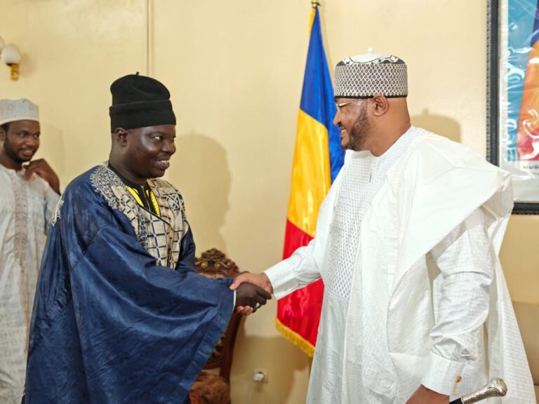 🇹🇩🇨🇲 Mayo-Kebbi Ouest :Une délégation du Lamido de Rey-Bouba reçue à Pala